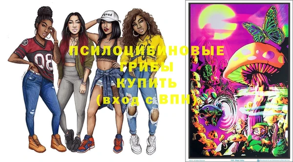 дживик Осташков