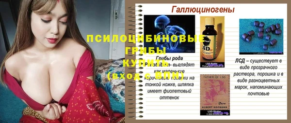 соль ск Осинники