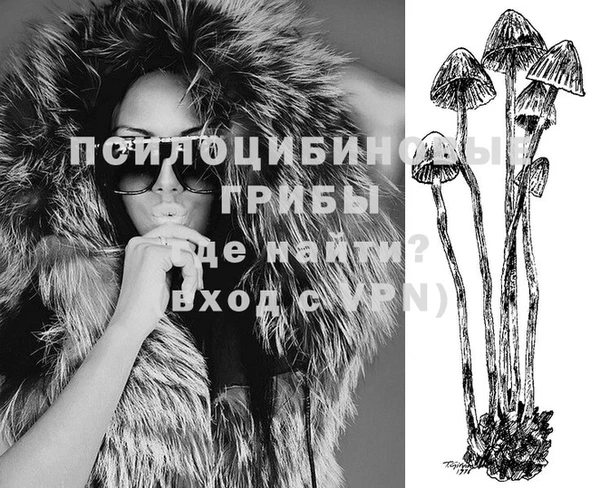 дживик Осташков
