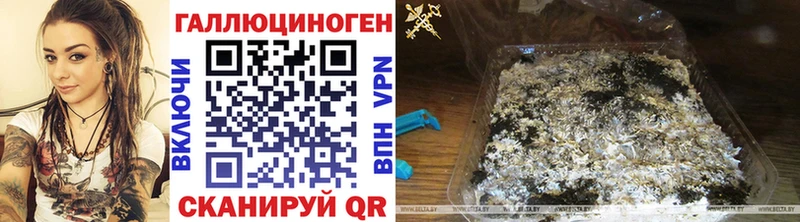 Псилоцибиновые грибы ЛСД  где купить наркоту  Липки 
